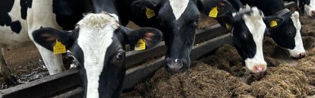 "AK.Nädal": эстонские фермеры получают гораздо меньшие субсидии, чем их коллеги в Европе