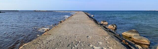 Март был теплее нормы на 4 градуса