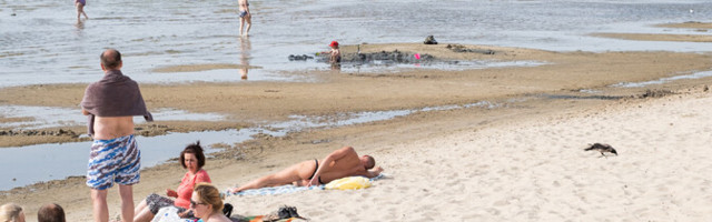На четырех пляжах Эстонии обнаружен холерный вибрион