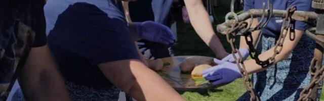 И вновь праздник цеппелин