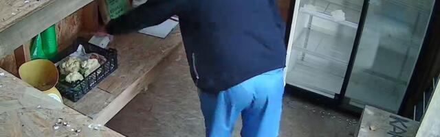 ФОТО | Мужчина в зеленой маске обокрал магазин самообслуживания