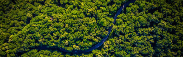 Люди, жившие в джунглях Амазонии, оставляли их нетронутыми тысячи лет