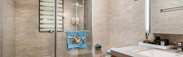 Правда ли, что в Швейцарии законодательно запрещено смывать воду в туалете и пользоваться душем после 22:00?