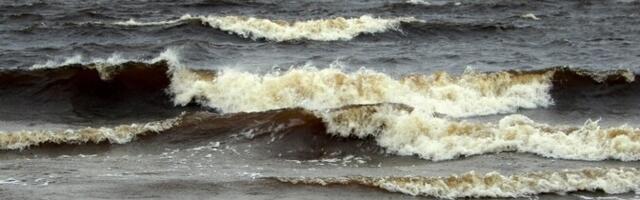 После Эстонии председательство в Совете государств Балтийского моря перешло к Польше