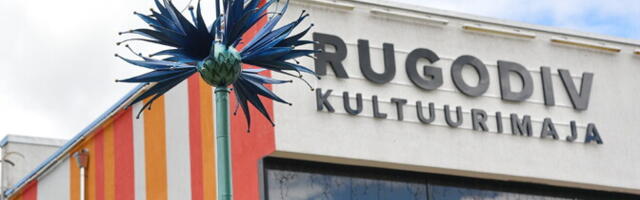 В Нарве выбирают "Дело года": стартовало народное голосование