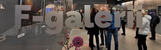 Новая галерея открылась выставкой нарвских фотографов