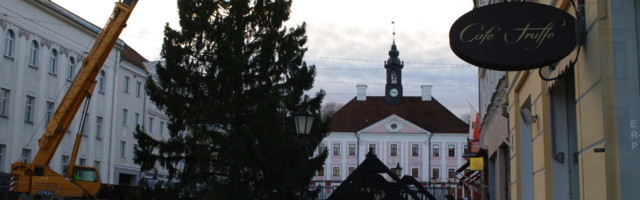 В центре Тарту установлена рождественская ель