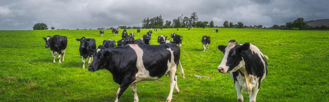 Затраты на производство в сельском хозяйстве Финляндии достигли рекордного уровня