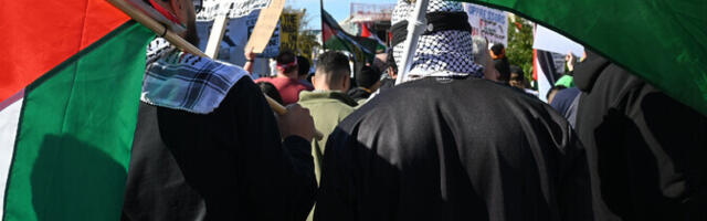 США и Израиль резко осудили планы Франции признать Палестинское государство