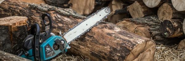 О чем пишет пресса: министры спорят из-за вырубки лесов, щедрое финансирование партий