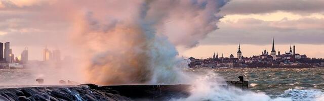 Таллинн устранил возникшие после шторма опасные ситуации