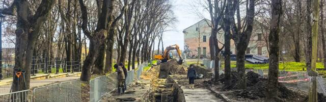 В Тёмном саду нашли следы «русской Нарвы»