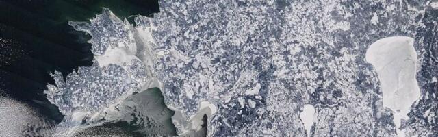 Фото со спутника: площадь льда в Балтийском море увеличилась до 90 000 квадратных километров