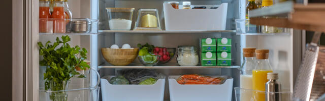 Каждую неделю в мусор: почему продукты в эстонских домах портятся ещё до того, как их съедают