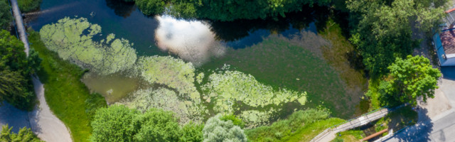 На ручье Сооликаоя появятся первые в Эстонии плавучие острова, очищающие от загрязнения