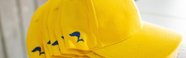 Эксперты: главная задача Партии реформ – подготовка к борьбе с Isamaa на парламентских выборах