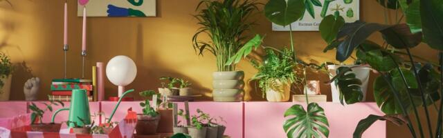 ФОТО | Дизайнер интерьеров предлагает небольшие изменения для каждой комнаты, которые помогут обновить дом к весне 