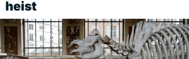 Очередное ограбление века