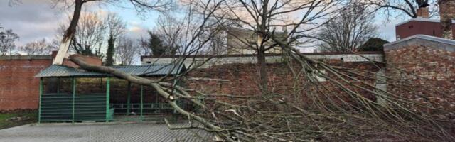 В понедельник сохранится порывистый ветер с мокрым снегом