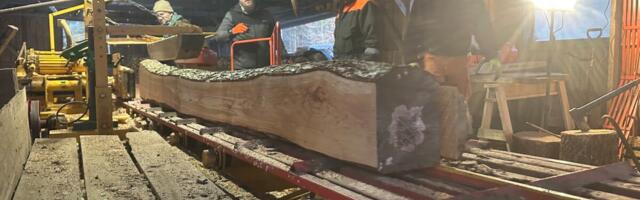 Маленький остров раскололся на два лагеря: волость хочет продать лесопилку, противники опасаются монополии