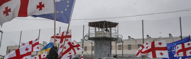 Министры иностранных дел стран Балтии обеспокоены ситуацией в Грузии