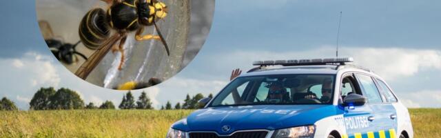 Полицейский оказал первую помощь аллергику, которого ужалила оса