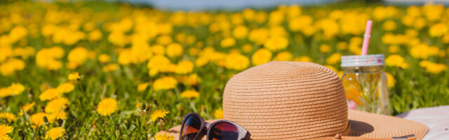 Прогноз погоды до 24 июля: тепло и дожди