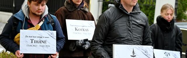 Надгробные плиты у здания правительства: в Таллинне прошла молчаливая акция памяти в защиту леса