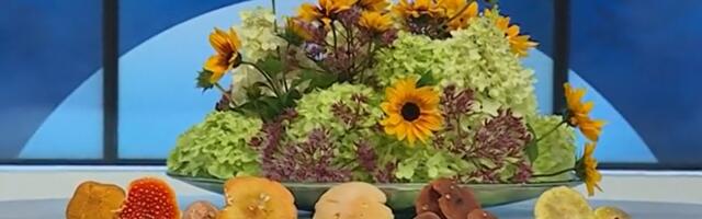 Ботаник: у незнакомого гриба всегда необходимо изучить ножку и нижнюю часть шляпки