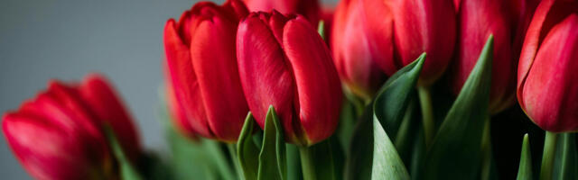 ОПРОС | 8 Марта – воскресенье. Будете ли поздравлять коллег?