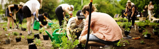 Тарту приглашает на городские субботники