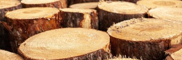 О чем пишет пресса: дело земгальского педофила, LVM грозит штраф в миллионы евро