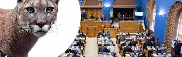 Охота на пуму дошла до парламента. „С одной стороны, это ведь прекрасно и романтично: у нас наряду с рысью есть и какая-то пума“