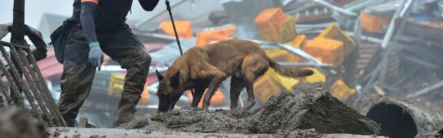 Число жертв сильных дождей в Южной Корее достигло нескольких десятков