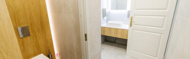 ФОТО | Пакоста раскритиковала ремонт туалета в Доме Стенбока