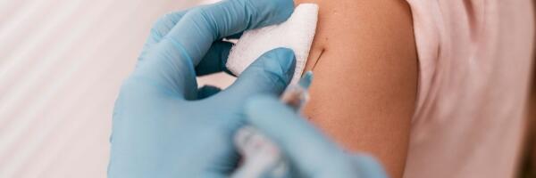 О чем пишет пресса: борьба с короедом вырубкой, оплачиваемая государством вакцинация