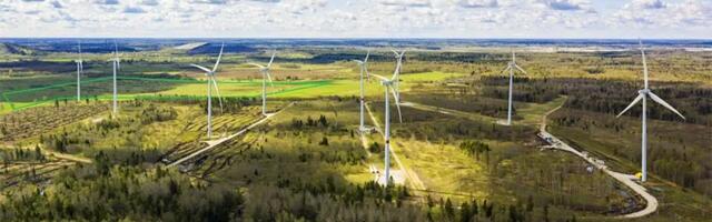 Фонд природы Эстонии: государство при планировании ветропарков должно обеспечивать сохранение природы