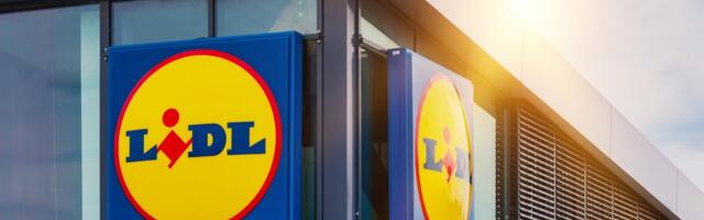 Покупательницу удивила цена на огурцы в Lidl_ „Я думала, это ошибка“