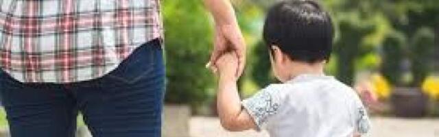 Япония разрешила разведенным парам совместную опеку над детьми. Пришлось изменить закон XIX века