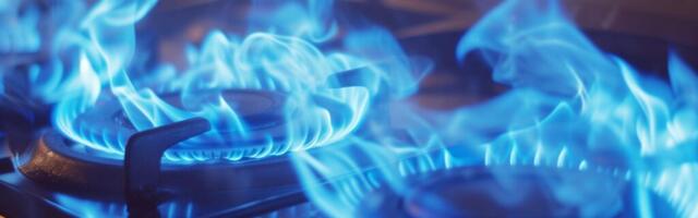 Цена на газ от Elenger и Alexela с мая резко вырастет