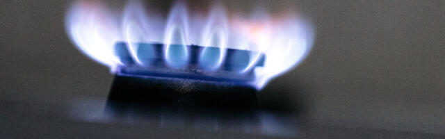 Eesti Gaas начтен взимать ежемесячную плату с бытовых потребителей газа