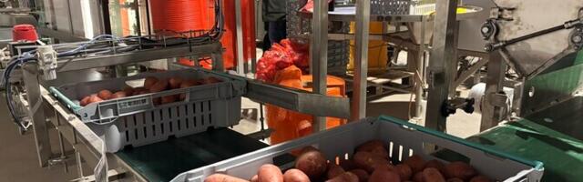 Фото: кооператив Talukartul приобрел упаковочного робота для снижения расходов