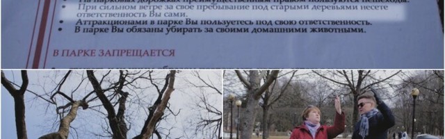 "Инсайт": роковая прогулка в парке Кадриорг обернулась годами судебных разбирательств