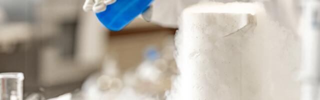 В Нарве снова Неделя науки 