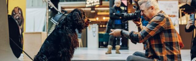 ГАЛЕРЕЯ: ведущий немецкий фотограф фотографирует собак в центре Т1