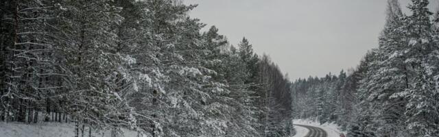 Для автодорожной отрасли в этом году выделено 314 млн евро