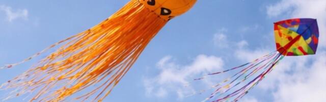 В Эстонии готовят зрелищное шоу: небо  заполнят десятки воздушных змеев