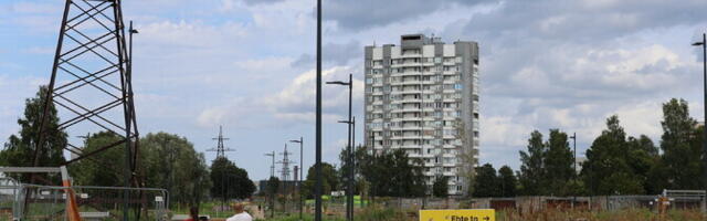 Таллинн хочет снести исторические опоры ЛЭП на тропе для насекомых ради экономии