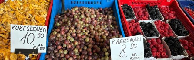 Рынки уходят в прошлое: на продаже ягод через соцсети можно заработать более 1000 евро