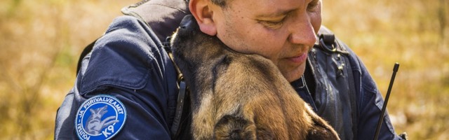 Служебные собаки Департамента полиции и погранохраны помогли найти почти полсотни человек